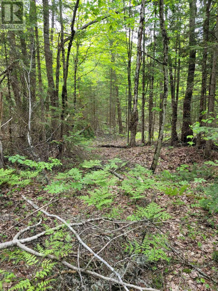 Tbd Gelert Road, Minden Hills, Ontario  K0M 2K0 - Photo 3 - X13075668