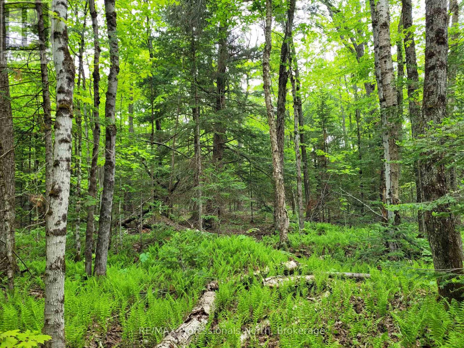 Tbd Gelert Road, Minden Hills, Ontario  K0M 2K0 - Photo 4 - X13075668