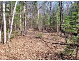 TBD GELERT ROAD, minden hills (snowdon), Ontario