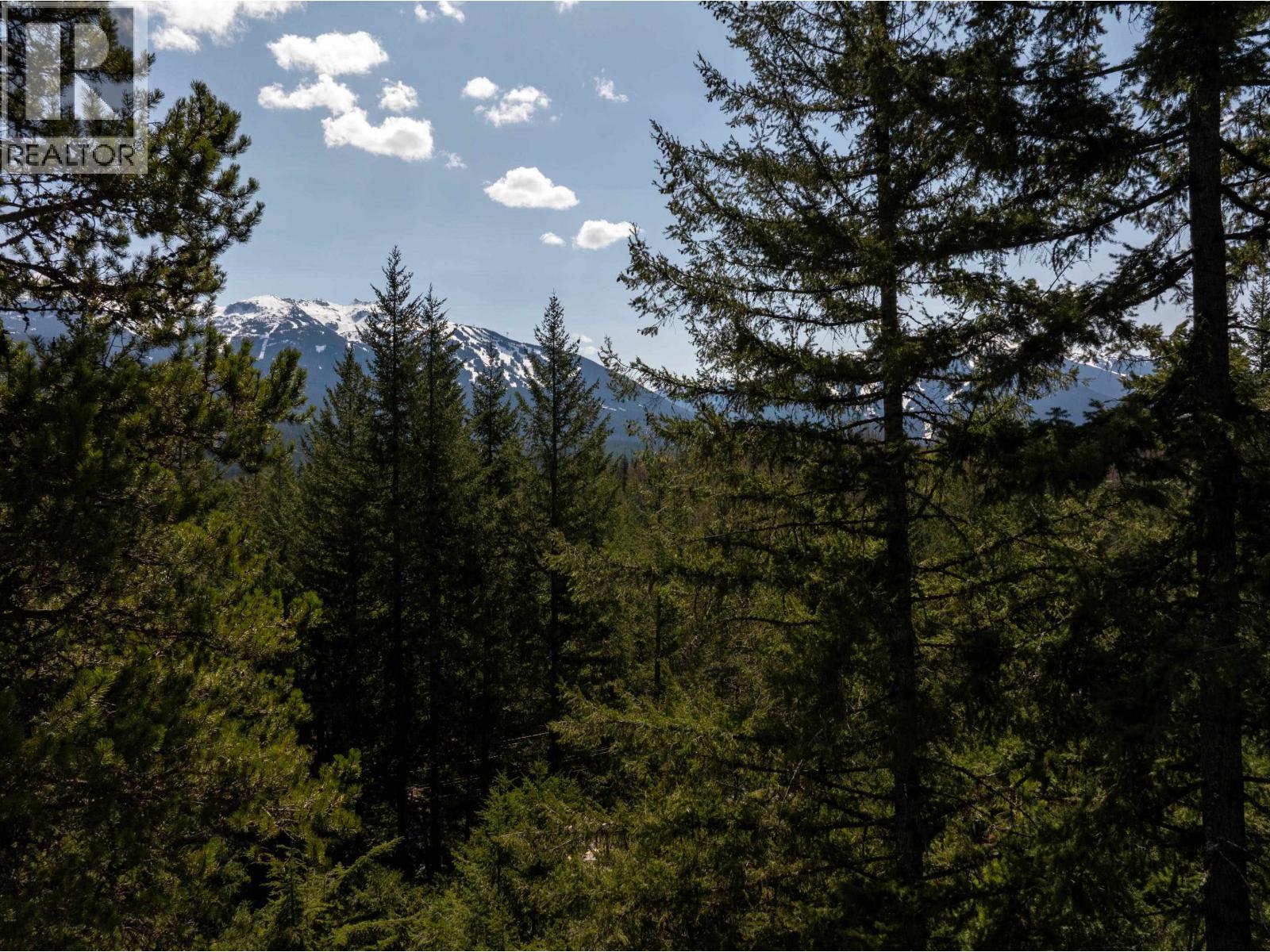 8214 Mountain View Drive, Whistler, British Columbia  V8E 0G3 - Photo 7 - R3118691