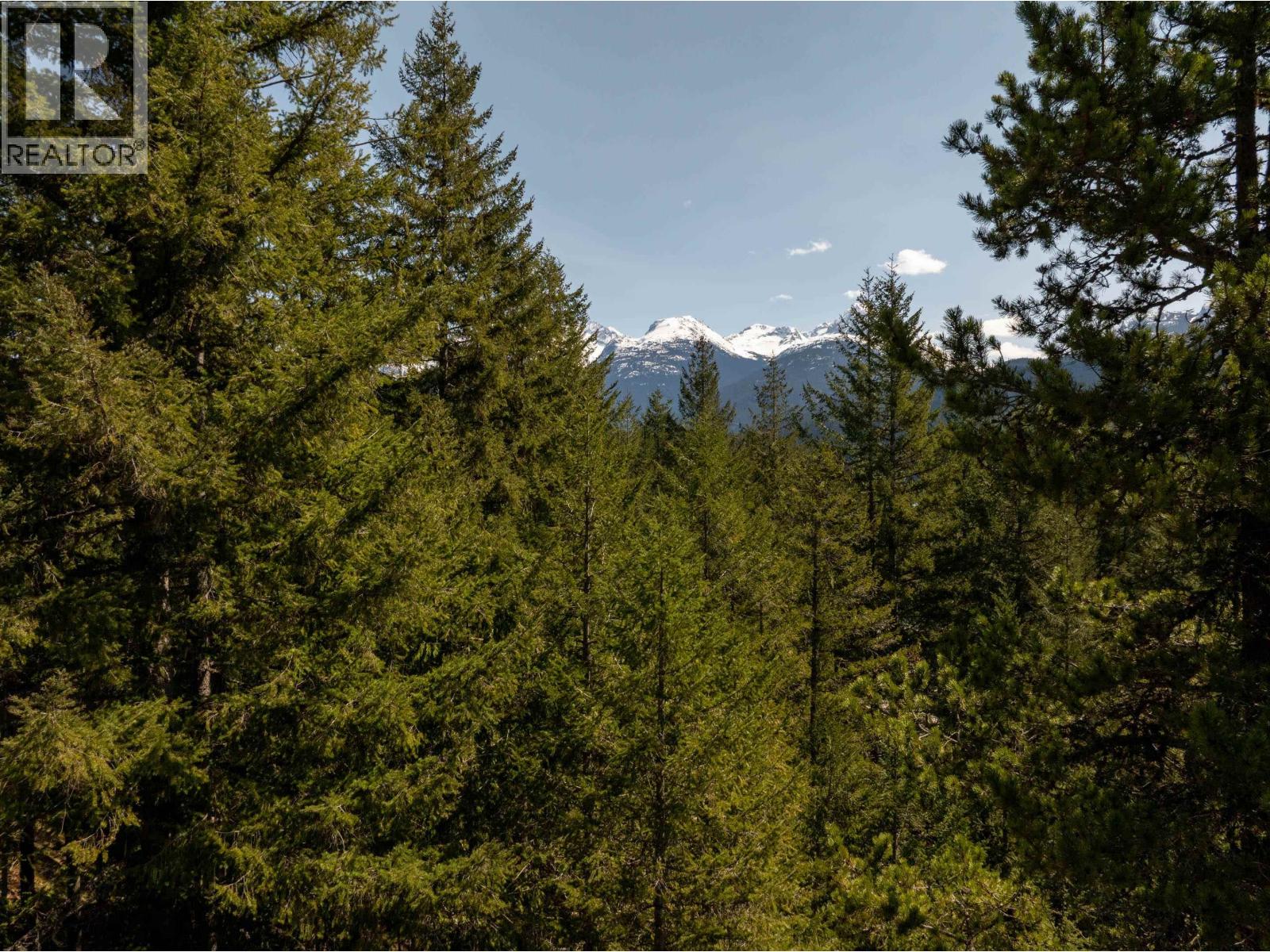 8214 Mountain View Drive, Whistler, British Columbia  V8E 0G3 - Photo 8 - R3118691
