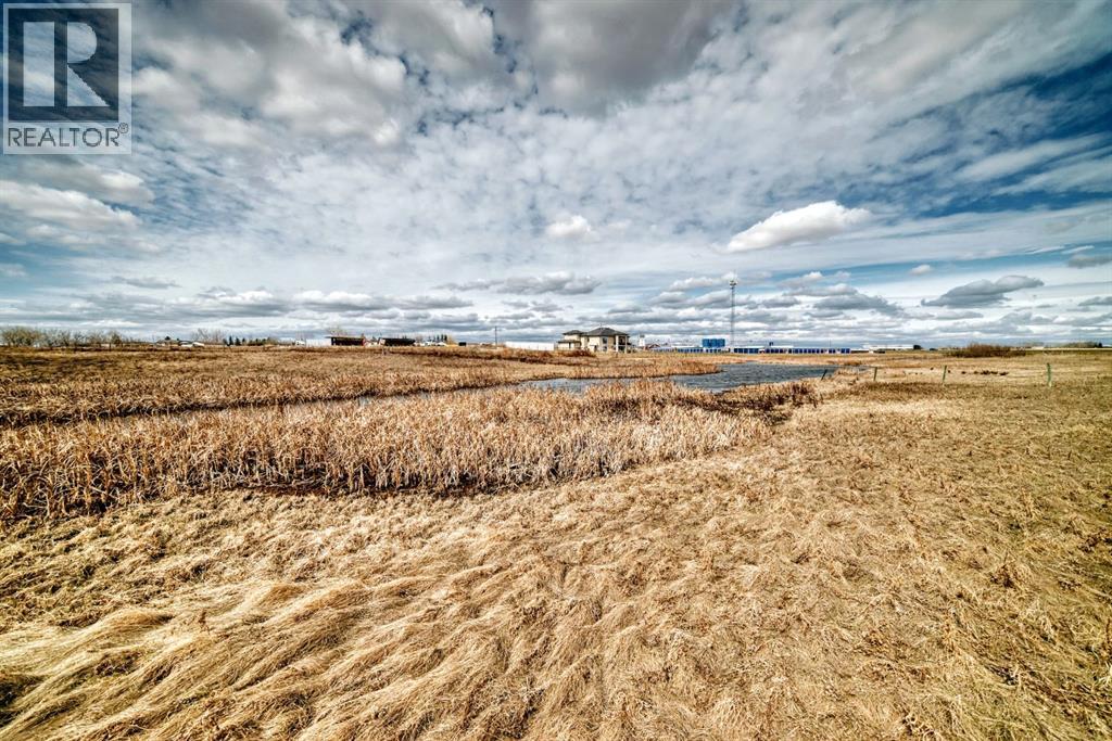 243195 Paradise Road, Chestermere, Alberta  T1X 0M9 - Photo 42 - A2303242
