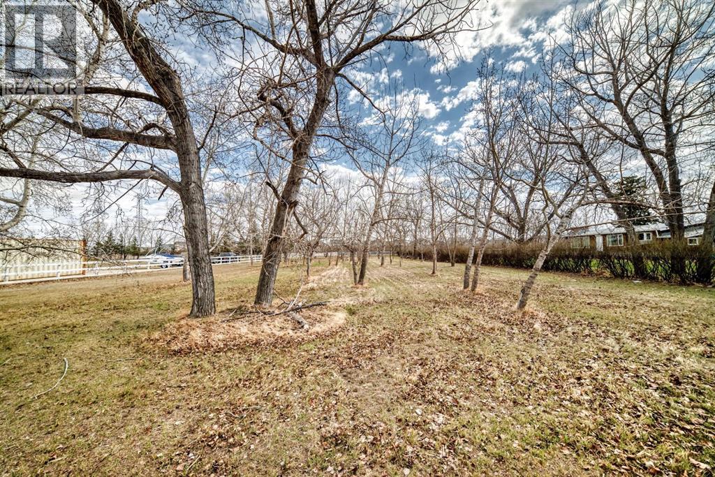 243195 Paradise Road, Chestermere, Alberta  T1X 0M9 - Photo 44 - A2303242