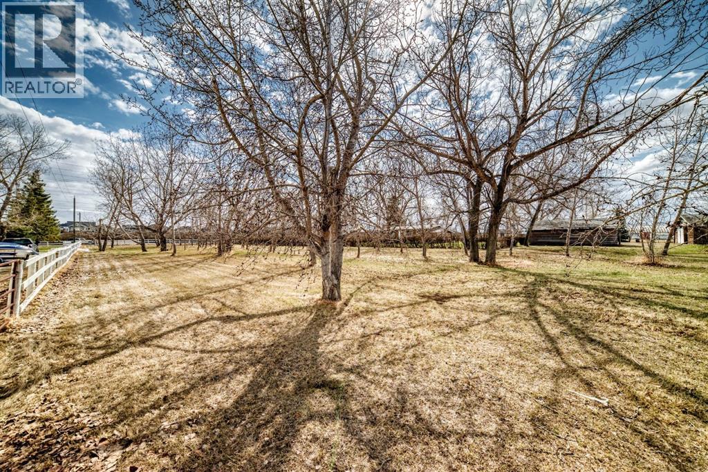 243195 Paradise Road, Chestermere, Alberta  T1X 0M9 - Photo 45 - A2303242