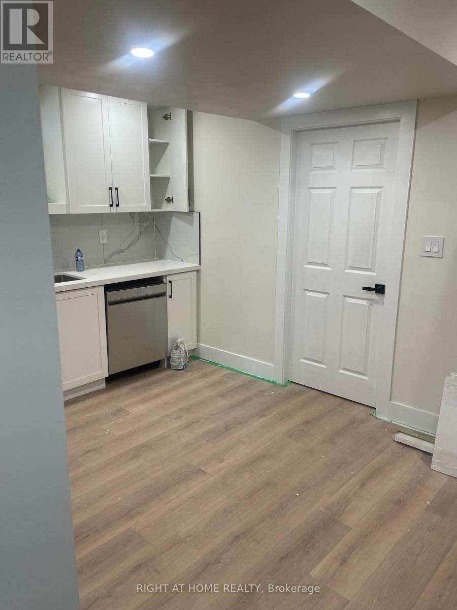 Basement - 1481 Strawberry Landing, Milton, Ontario  L9E 1Y8 - Photo 6 - W13075774