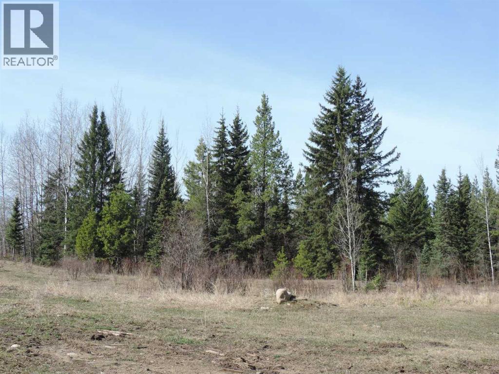 On Twp 43, Hoadley, Alberta  T0C 2J0 - Photo 10 - A2293363