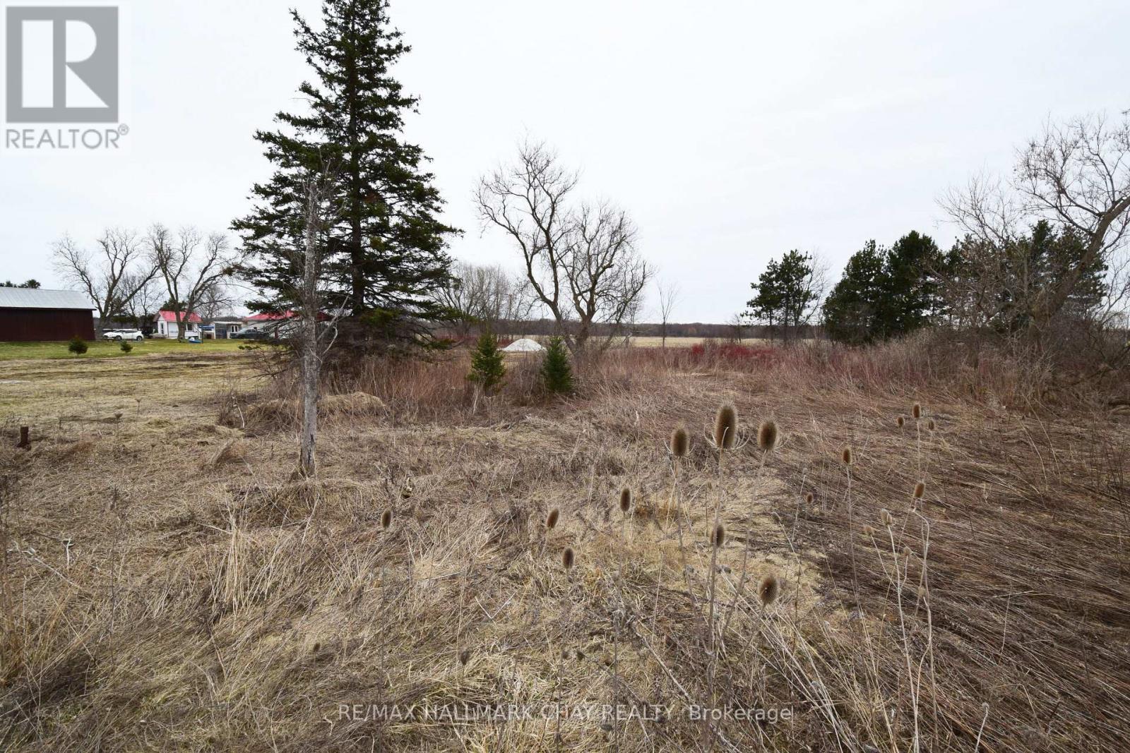 4797 County Road 90 Road, Essa, Ontario  L4M 4S4 - Photo 4 - N13075862
