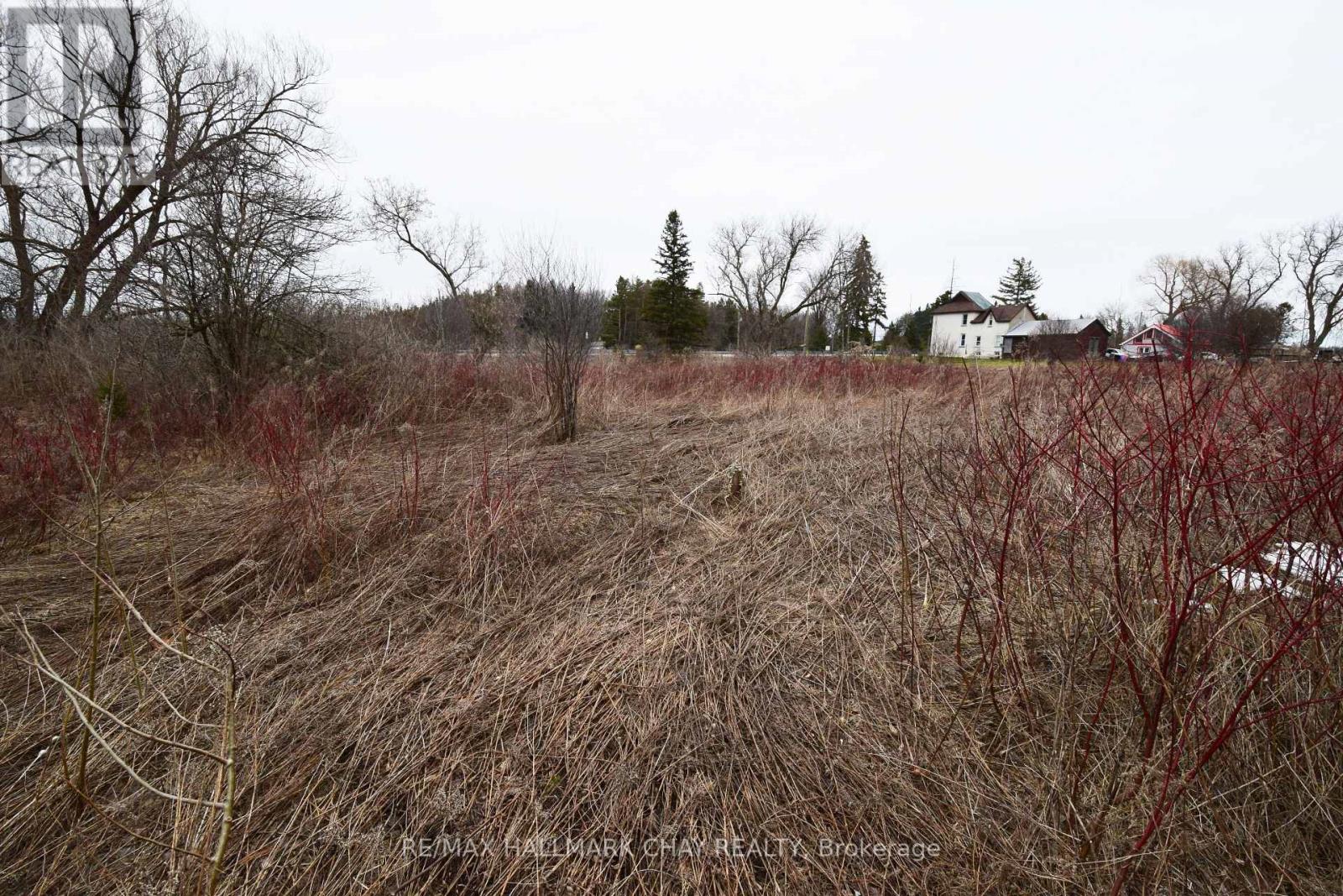 4797 County Road 90 Road, Essa, Ontario  L4M 4S4 - Photo 5 - N13075862