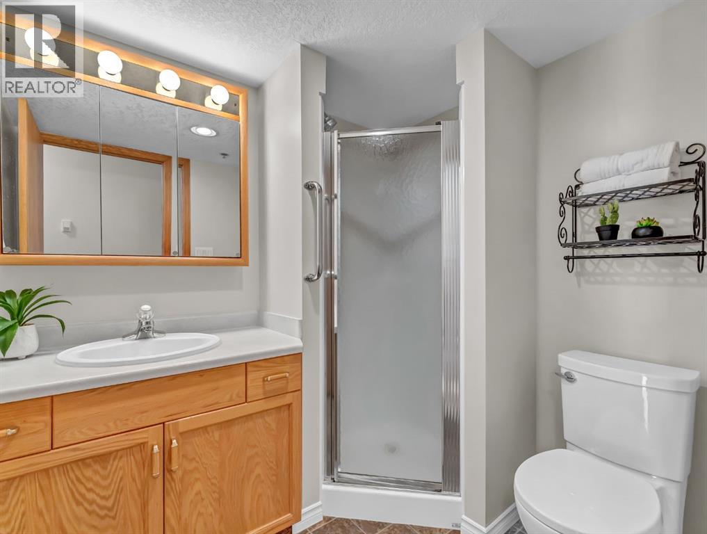109, 1535 Southview Drive Se, Medicine Hat, Alberta  T1B 4H8 - Photo 25 - A2304813