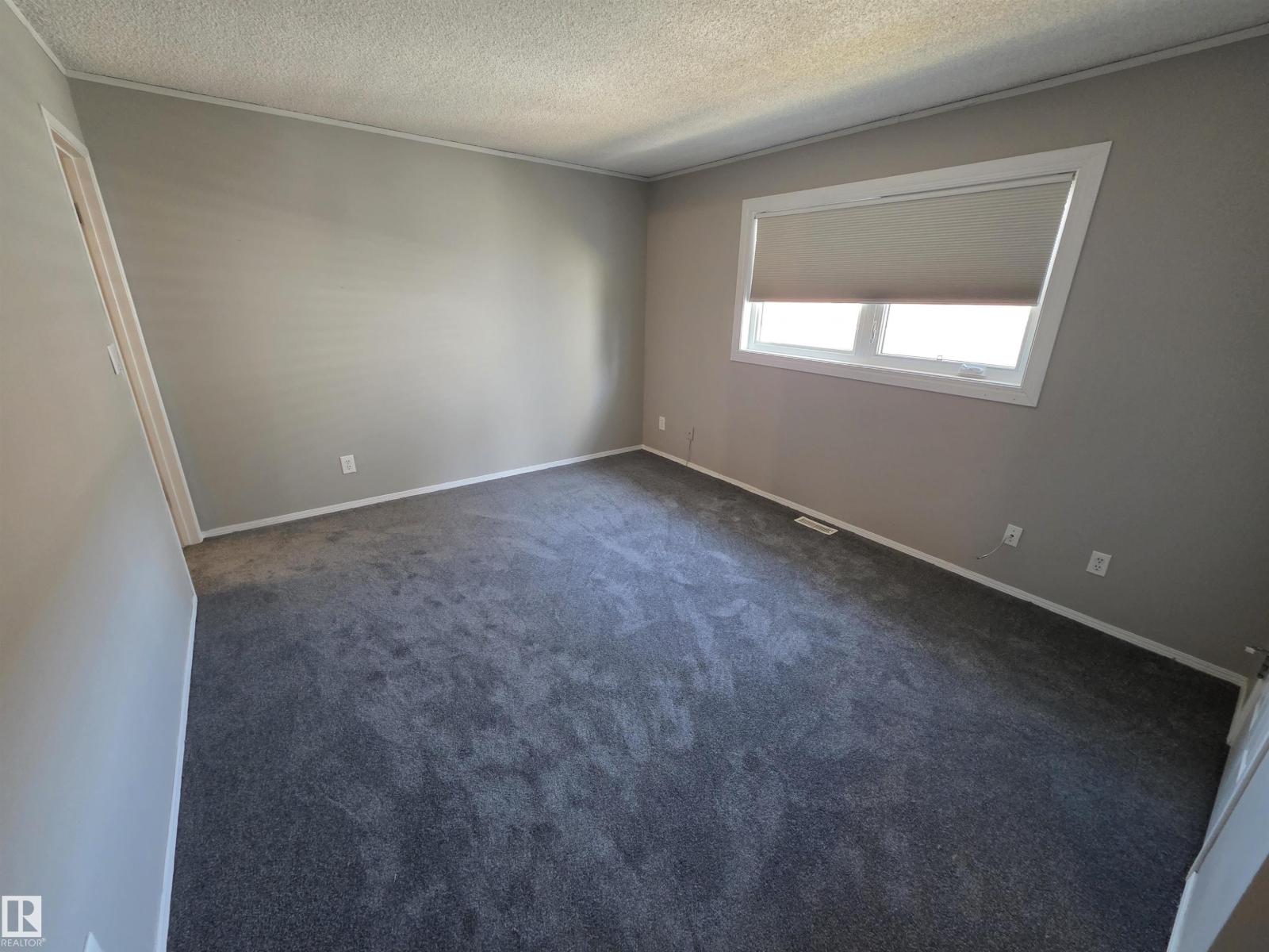 18911 80 Av Nw Nw, Edmonton, Alberta  T5T 4B7 - Photo 25 - E4485395