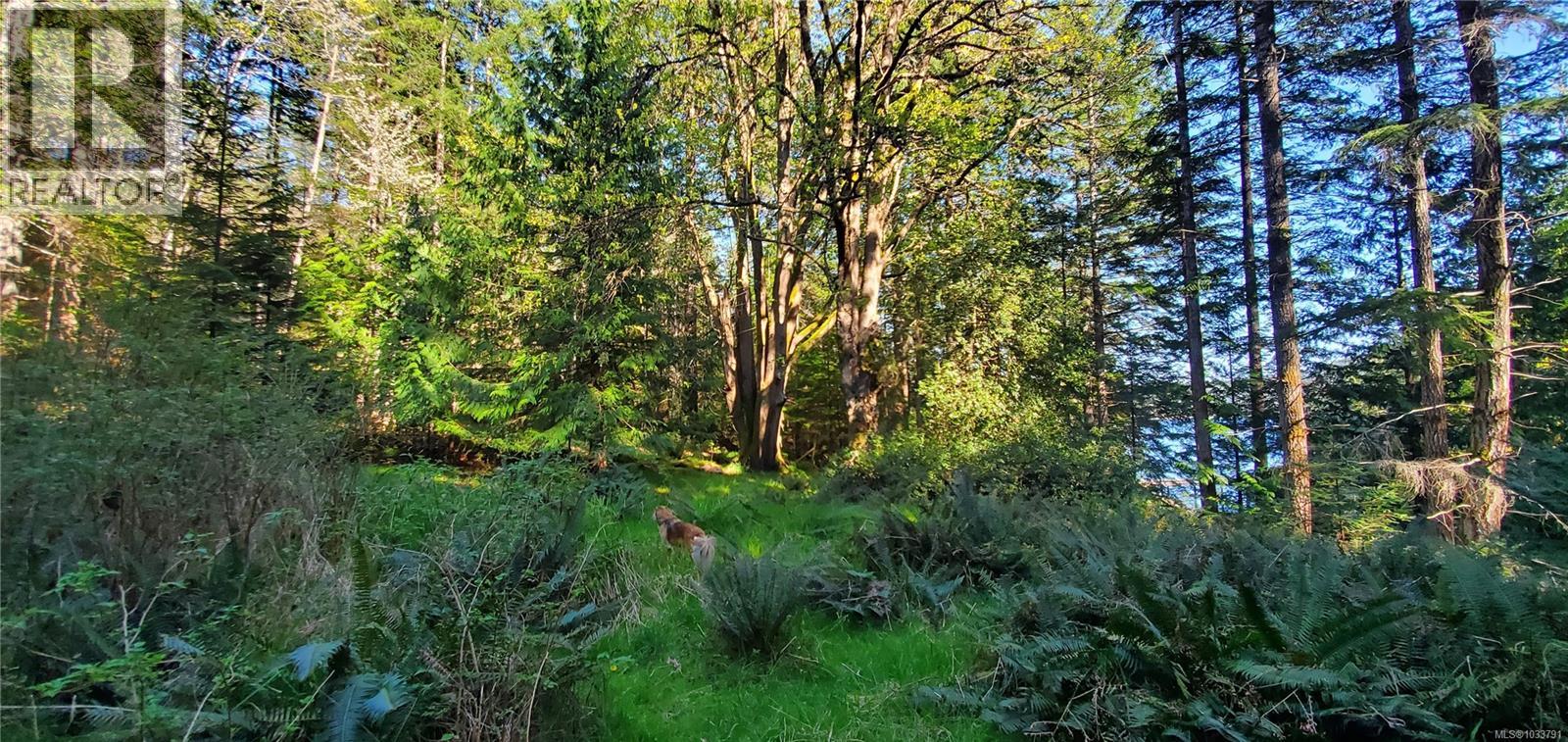 226 Bold Point Rd, Quadra Island, British Columbia  V0P 1H0 - Photo 27 - 1033791