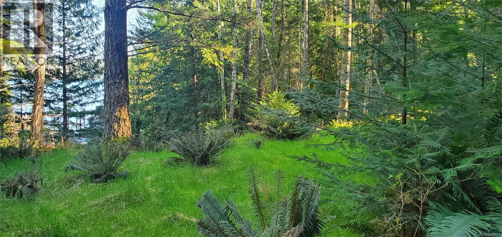 226 Bold Point Rd, Quadra Island, British Columbia  V0P 1H0 - Photo 28 - 1033791