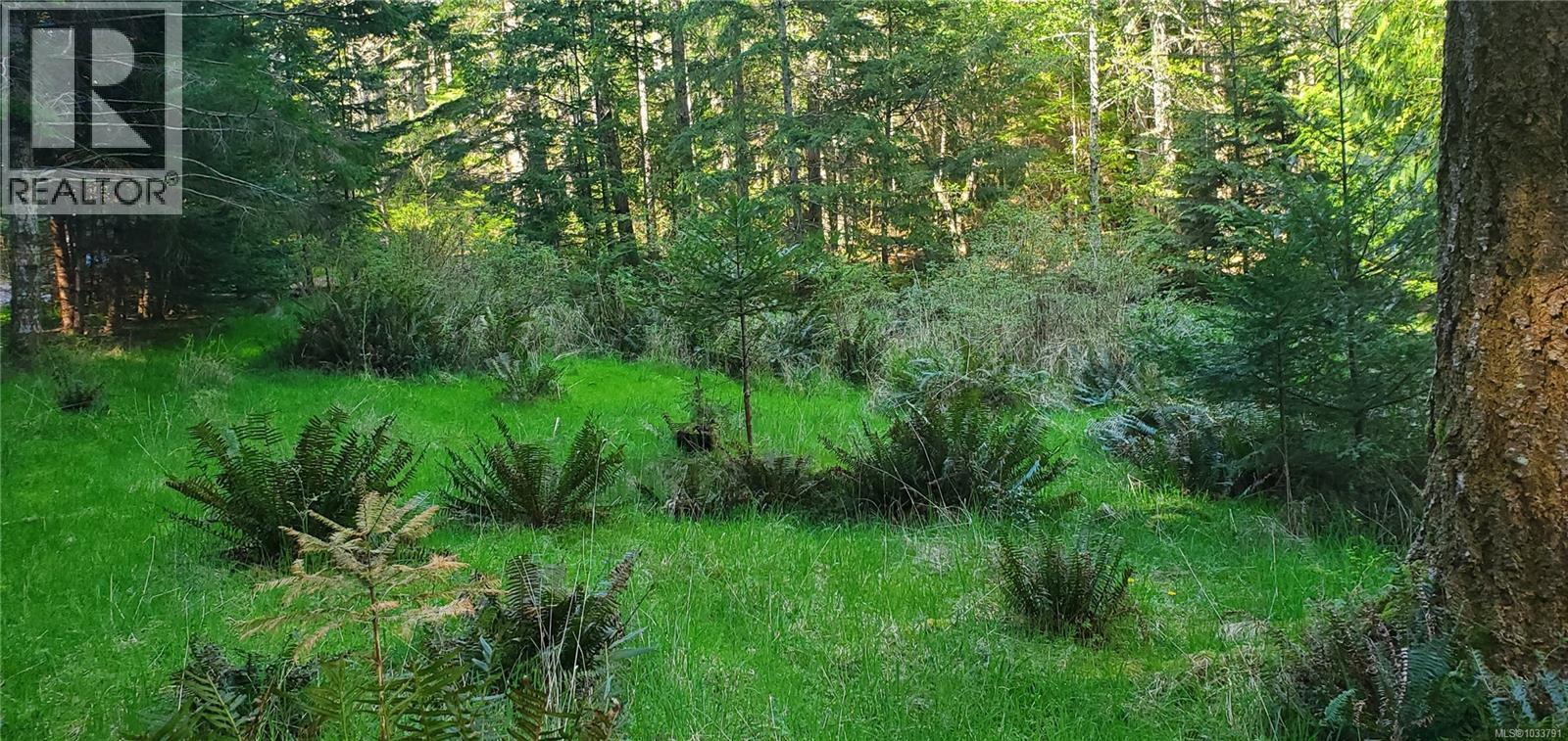 226 Bold Point Rd, Quadra Island, British Columbia  V0P 1H0 - Photo 31 - 1033791