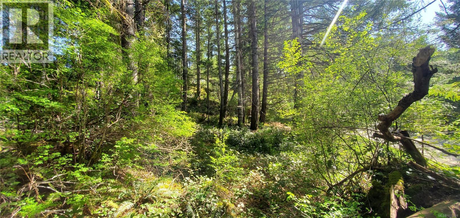 226 Bold Point Rd, Quadra Island, British Columbia  V0P 1H0 - Photo 64 - 1033791