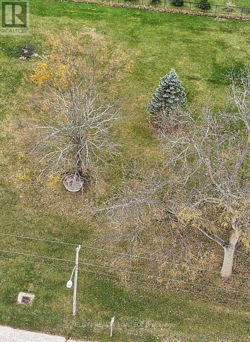 29738 Lot B Talbot Line, Dutton/dunwich, Ontario  N0L 2M0 - Photo 5 - X13075980