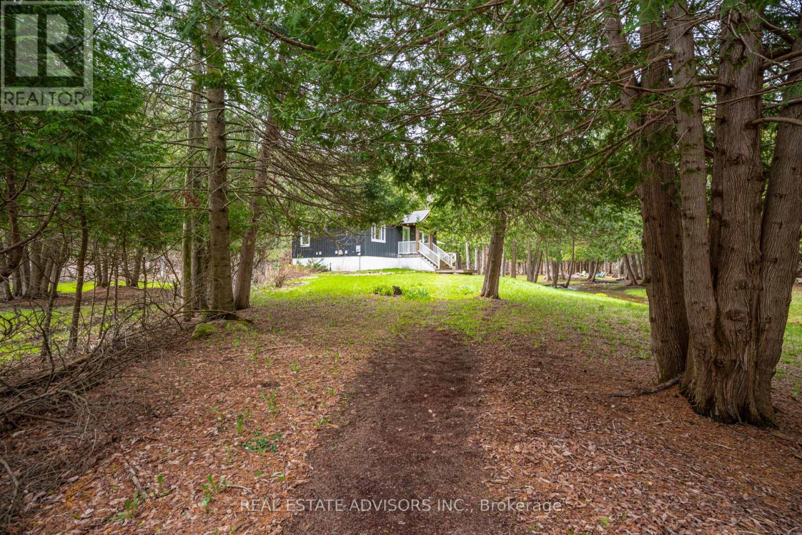 9387 County Road 9 Road, Clearview, Ontario  L0M 1G0 - Photo 7 - S13075986