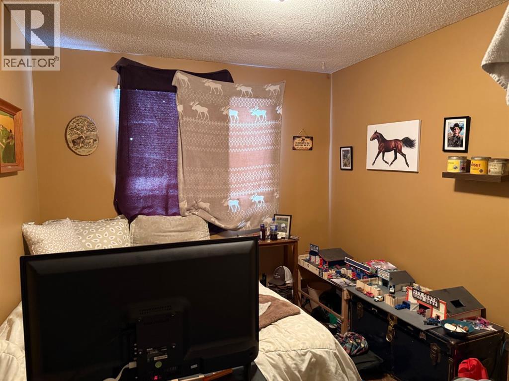 3006 52 Avenue, Lloydminster, Alberta  T9V 1P5 - Photo 13 - A2288759