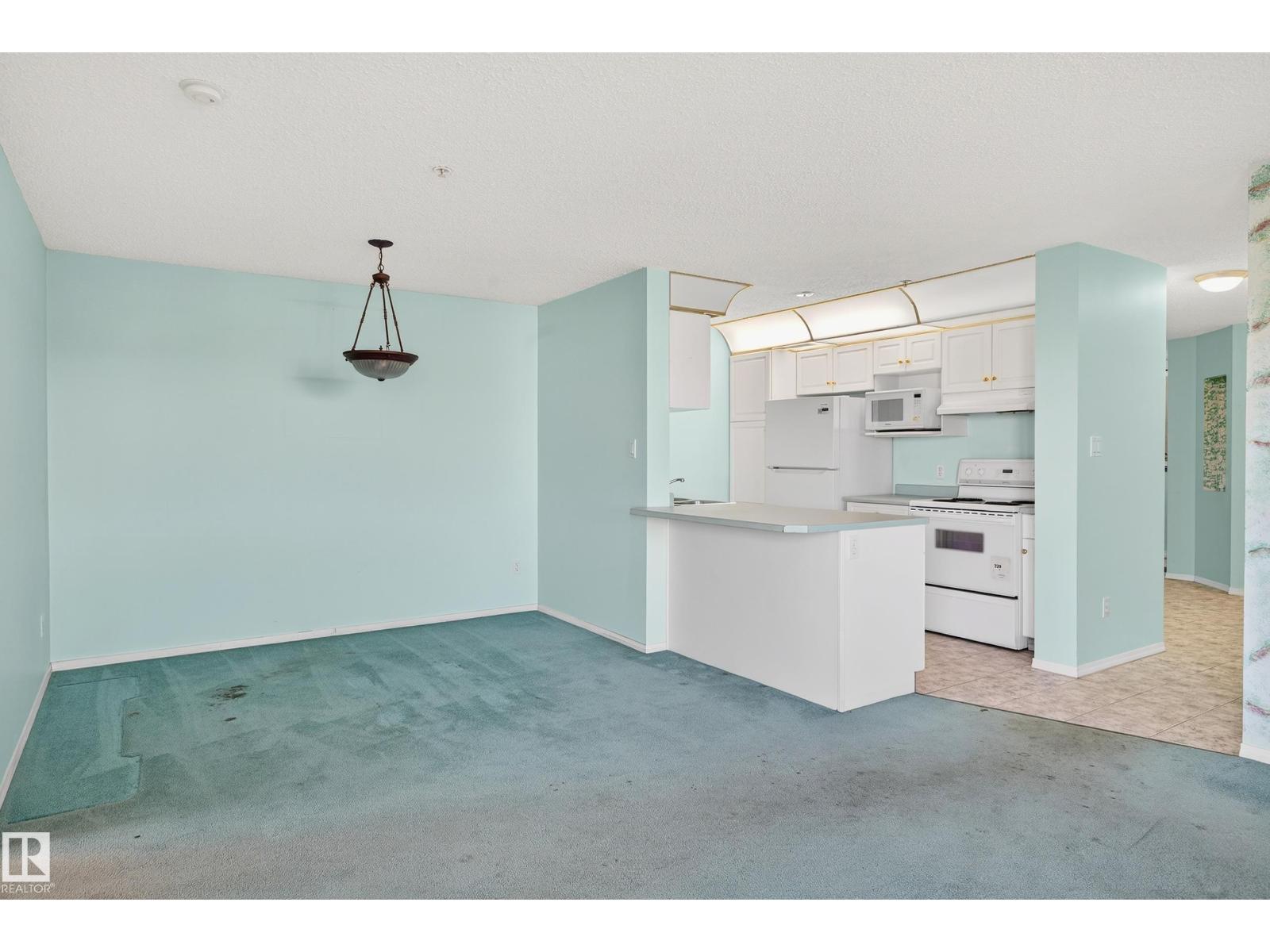 #301 10511 42 Av Nw, Edmonton, Alberta  T6J 7G8 - Photo 13 - E4485524