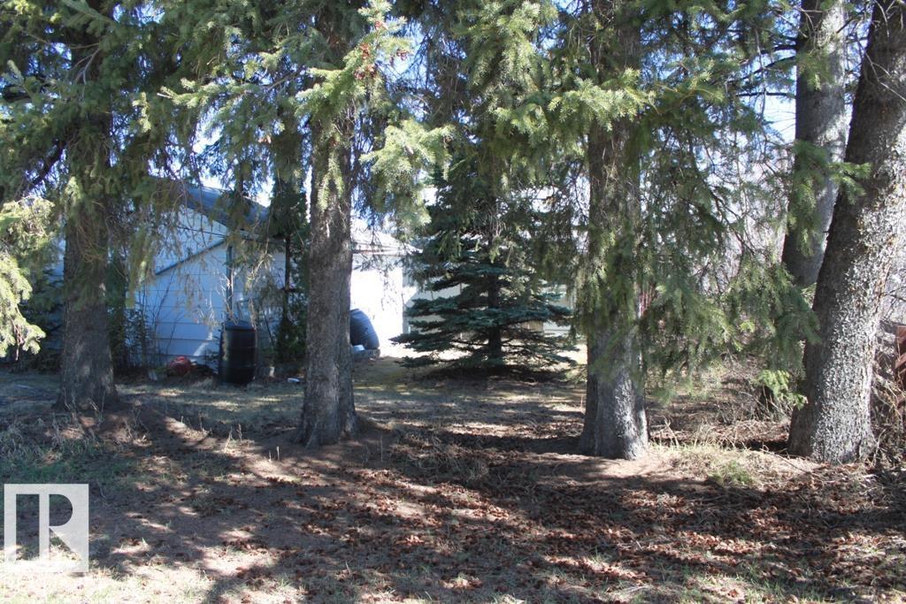 4823 55 Av, Tofield, Alberta  T0B 4J0 - Photo 10 - E4485526