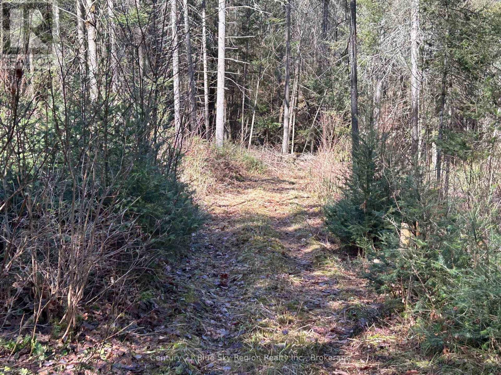 Con 9 Pt Lot 17 Highway 534, Nipissing, Ontario  K0J 0B3 - Photo 4 - X12814426