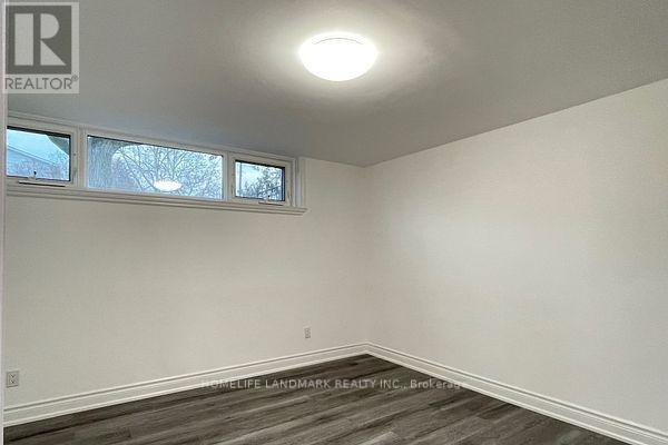 Lower - 236 Colborne Avenue, Richmond Hill, Ontario  L4C 2K5 - Photo 4 - N13076066