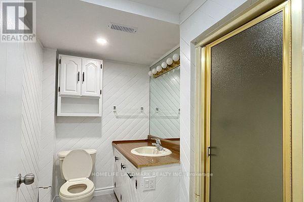 Lower - 236 Colborne Avenue, Richmond Hill, Ontario  L4C 2K5 - Photo 5 - N13076066