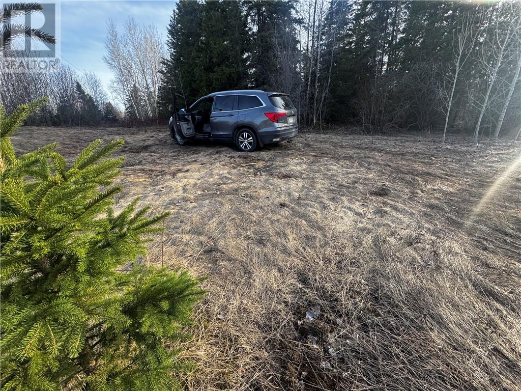 6807 Highway 17 E, Sudbury, Ontario  P0M 1M0 - Photo 10 - 2127125