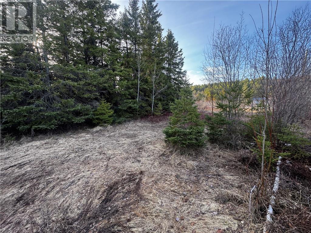 6807 Highway 17 E, Sudbury, Ontario  P0M 1M0 - Photo 9 - 2127125