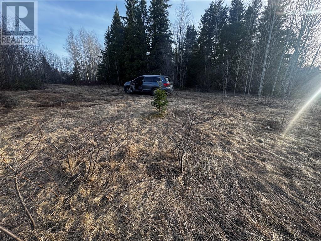 6807 Highway 17 E, Sudbury, Ontario  P0M 1M0 - Photo 6 - 2127125