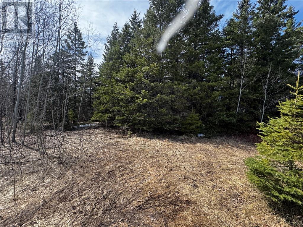 6807 Highway 17 E, Sudbury, Ontario  P0M 1M0 - Photo 4 - 2127125