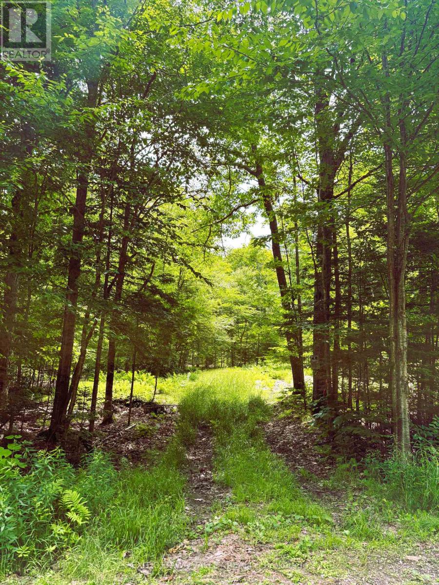 0 PEPLINSKIE ROAD, Madawaska Valley, Ontario