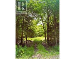 0 PEPLINSKIE ROAD, Madawaska Valley, Ontario