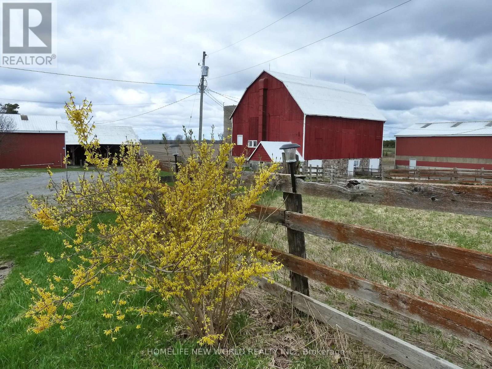 23702 Kennedy Road, Georgina, Ontario  L0E 1R0 - Photo 2 - N13076222