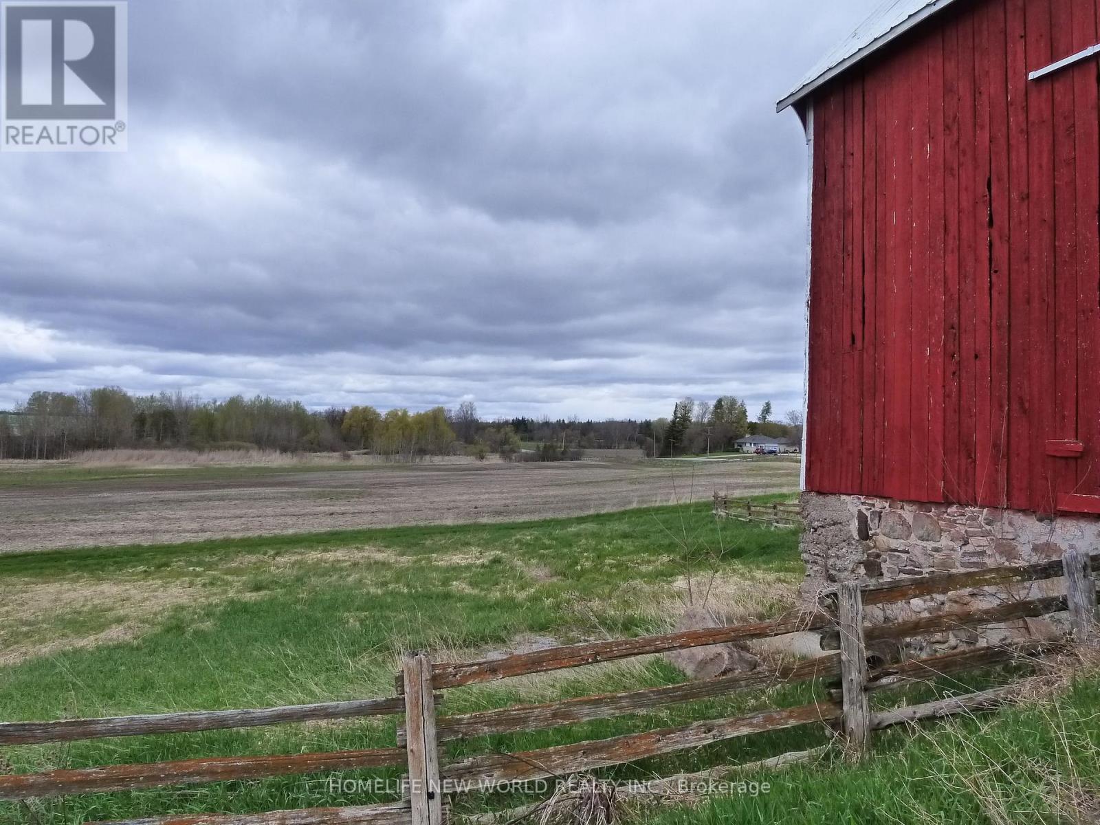 23702 Kennedy Road, Georgina, Ontario  L0E 1R0 - Photo 4 - N13076222