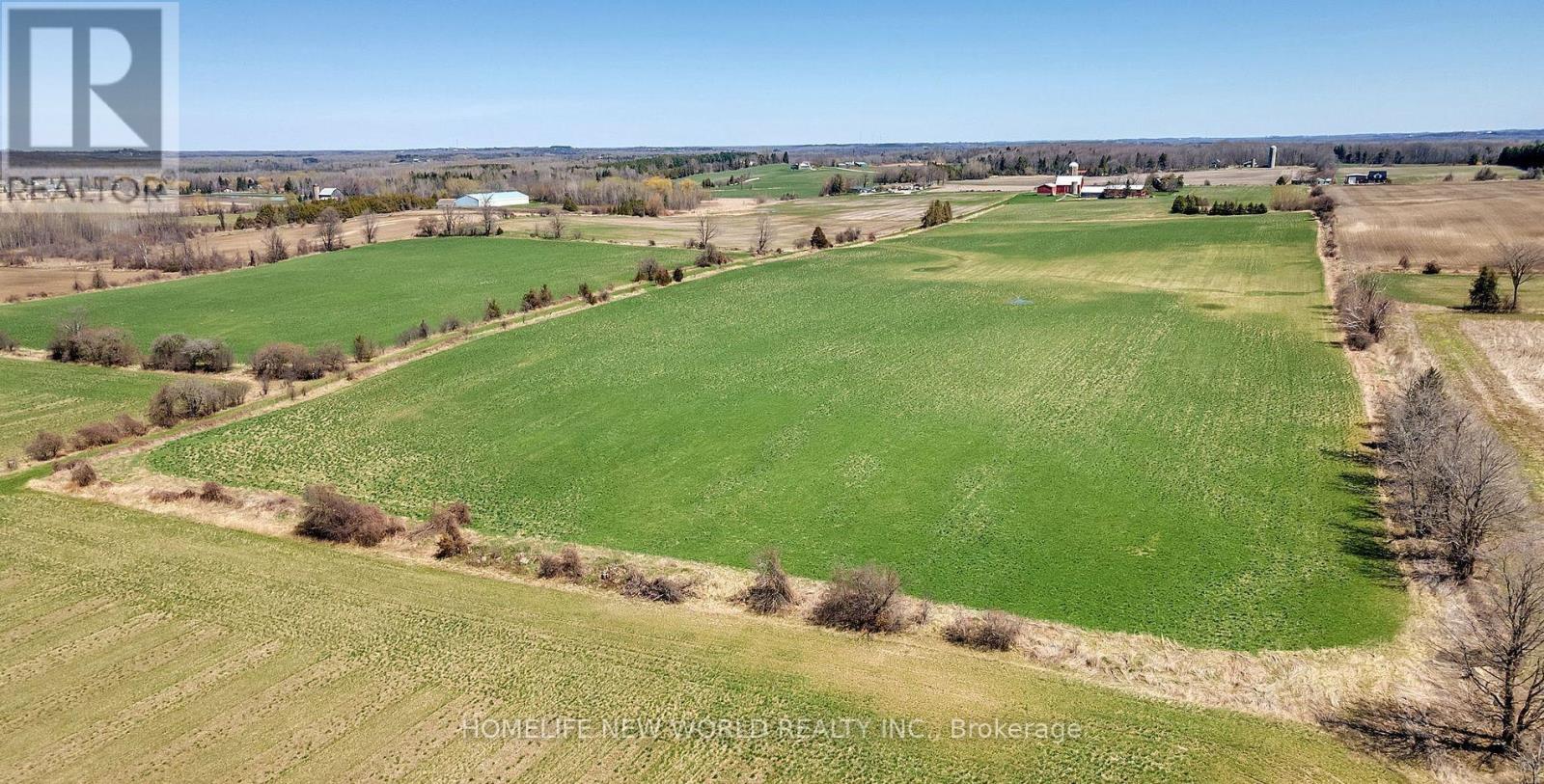 23702 Kennedy Road, Georgina, Ontario  L0E 1R0 - Photo 8 - N13076222