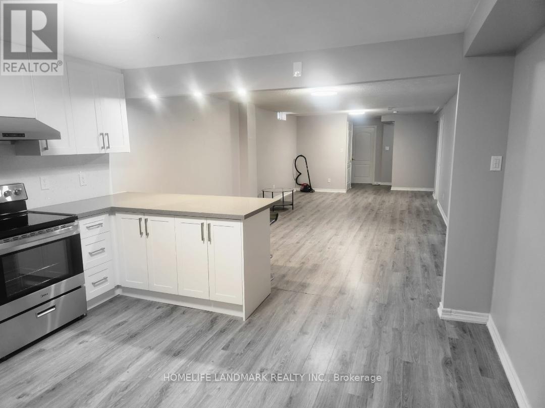 Basement - 282 Forest Run Boulevard, Vaughan, Ontario  L4K 5G2 - Photo 10 - N13076242