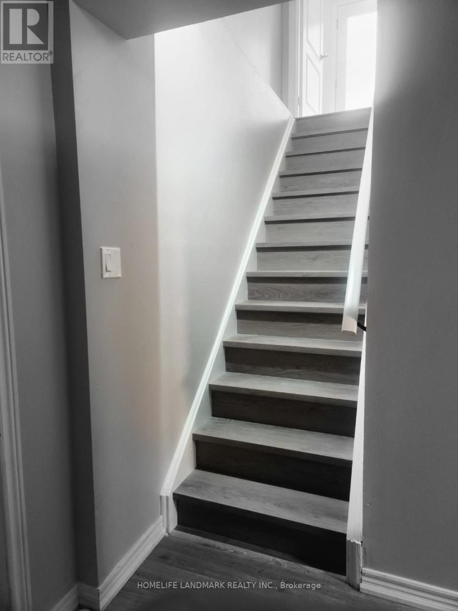 Basement - 282 Forest Run Boulevard, Vaughan, Ontario  L4K 5G2 - Photo 5 - N13076242