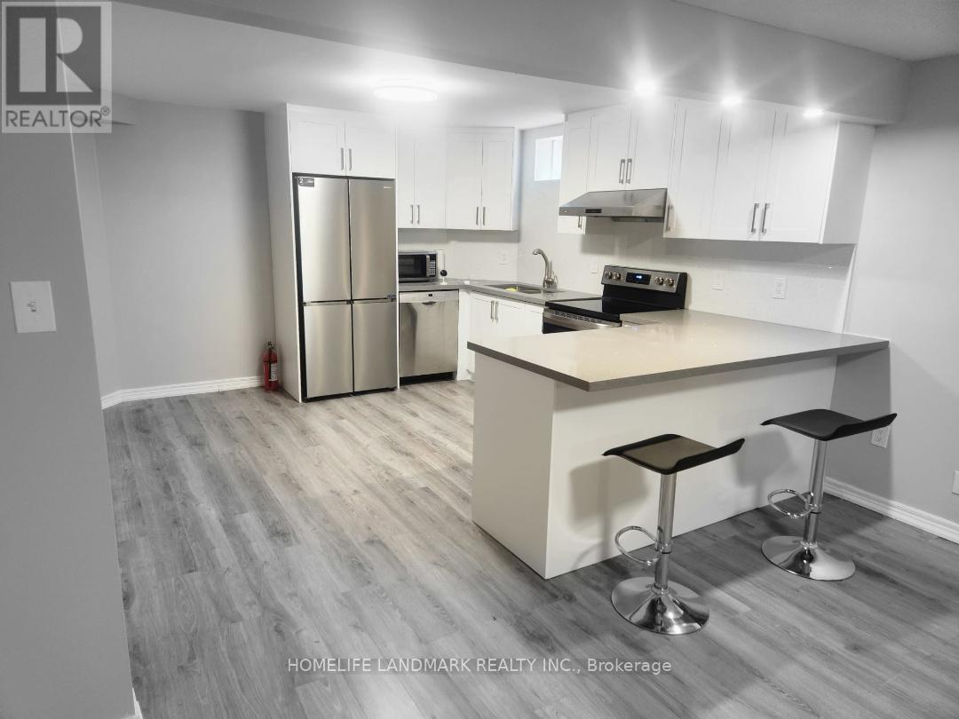 Basement - 282 Forest Run Boulevard, Vaughan, Ontario  L4K 5G2 - Photo 8 - N13076242
