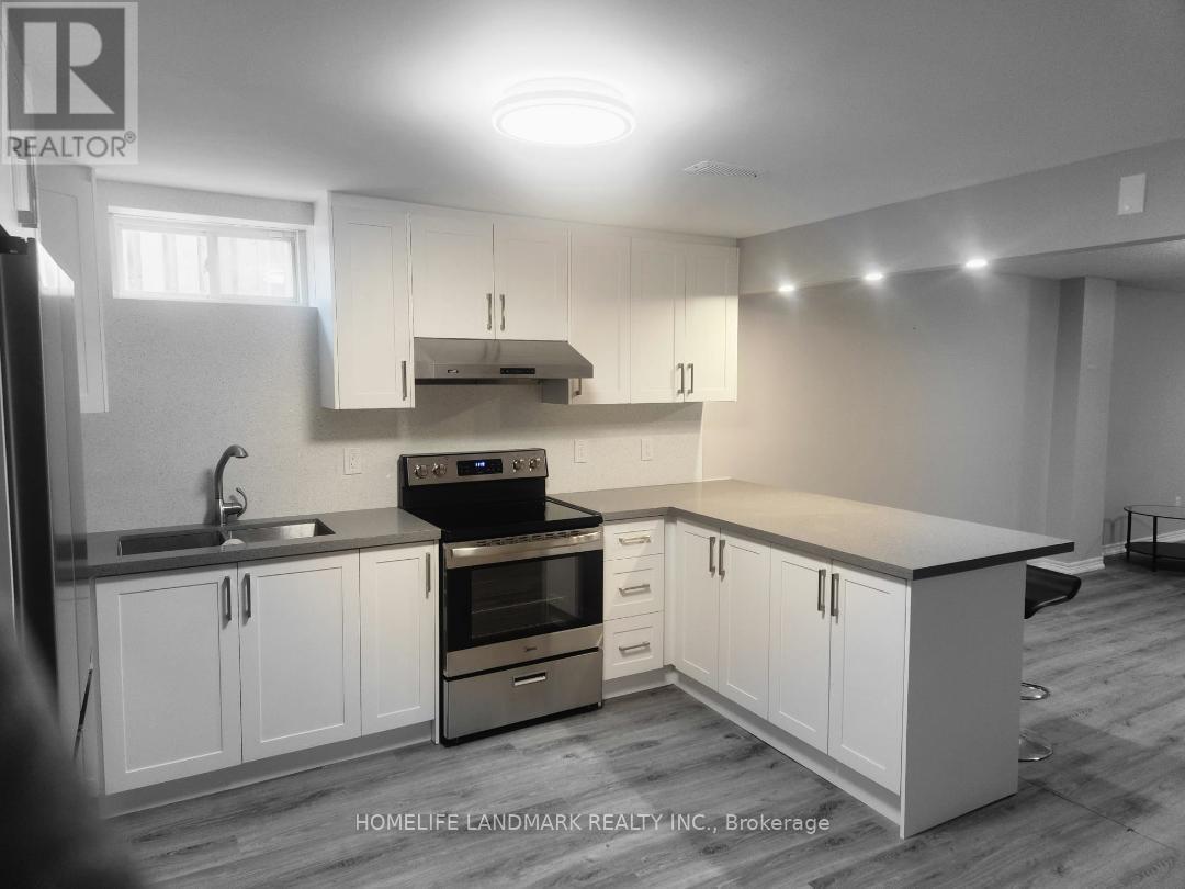 Basement - 282 Forest Run Boulevard, Vaughan, Ontario  L4K 5G2 - Photo 9 - N13076242