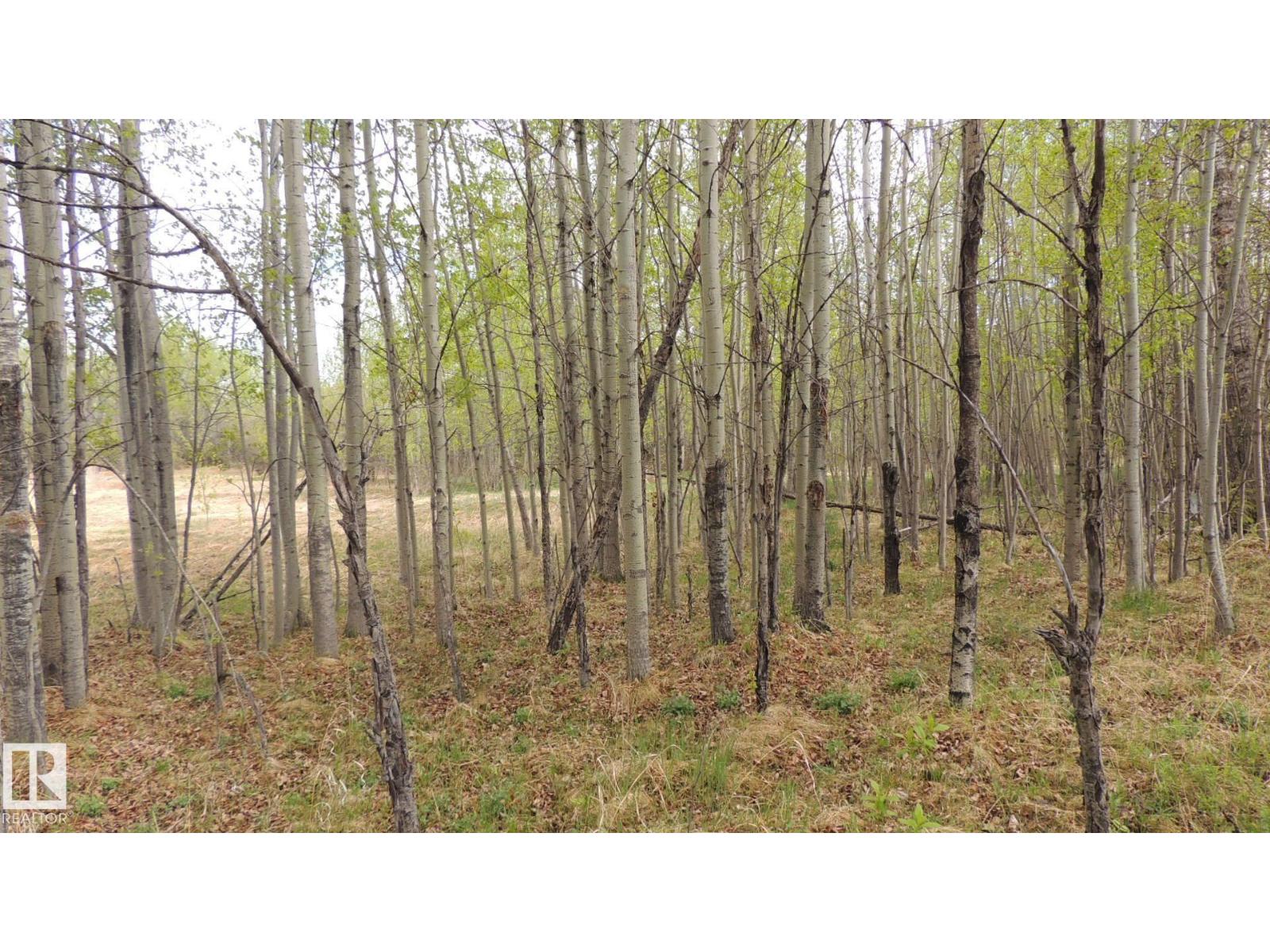 610-56102 Range Road 53, Cherhill, Alberta  T0E 0J0 - Photo 5 - E4485540
