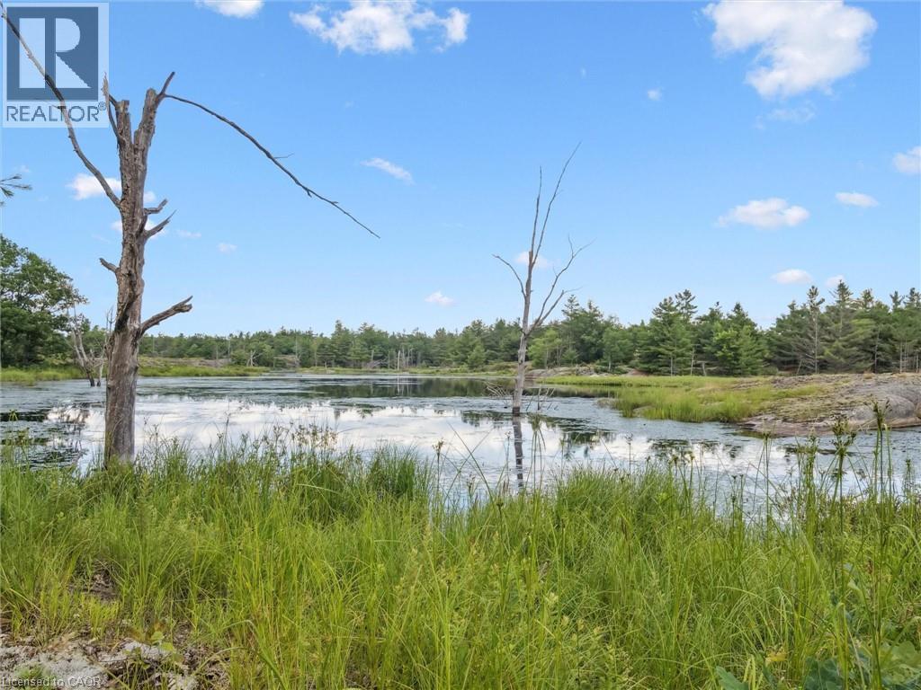 891 Peninsula Road, Gravenhurst, Ontario  P1P 0E2 - Photo 36 - 40818574