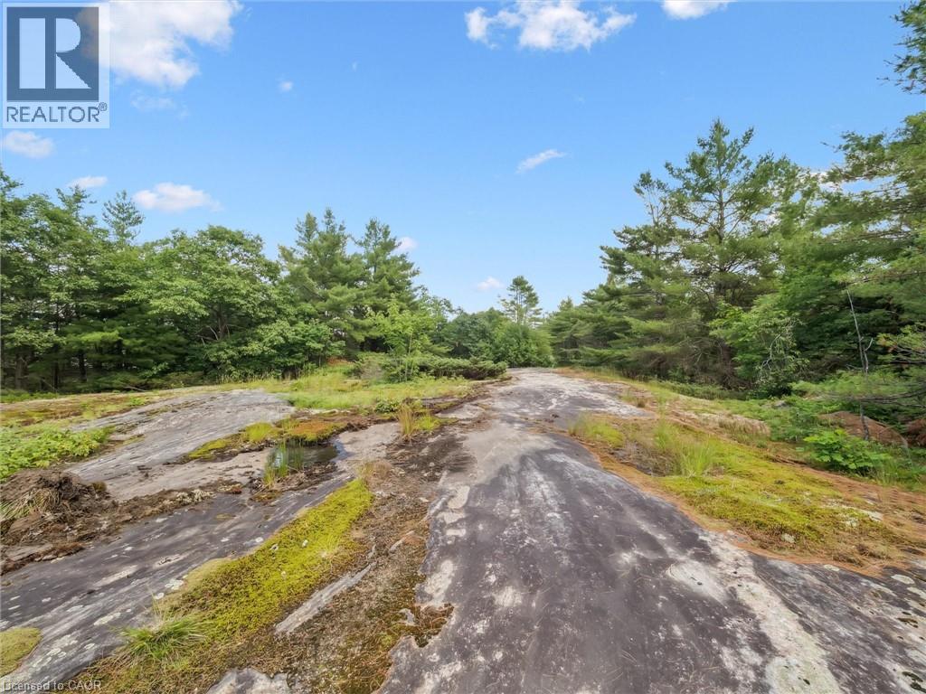 891 Peninsula Road, Gravenhurst, Ontario  P1P 0E2 - Photo 35 - 40818574