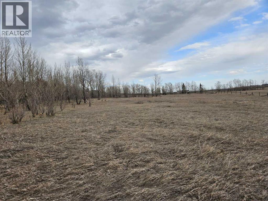186 Avenue W Rural Foothills Avenue W, De Winton, Alberta  T0L 0X0 - Photo 9 - A2229480