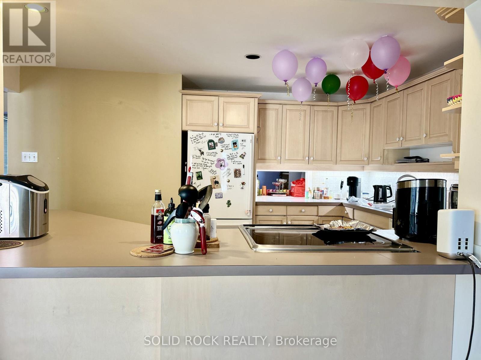 201 Augusta Street, Ottawa, Ontario  K1N 8C2 - Photo 7 - X13076354