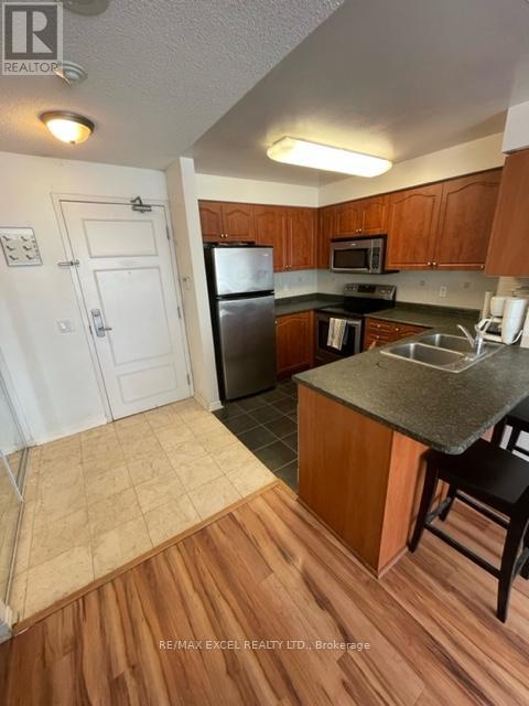 508 - 350 Red Maple Road, Richmond Hill, Ontario  L4C 6P5 - Photo 9 - N13076402