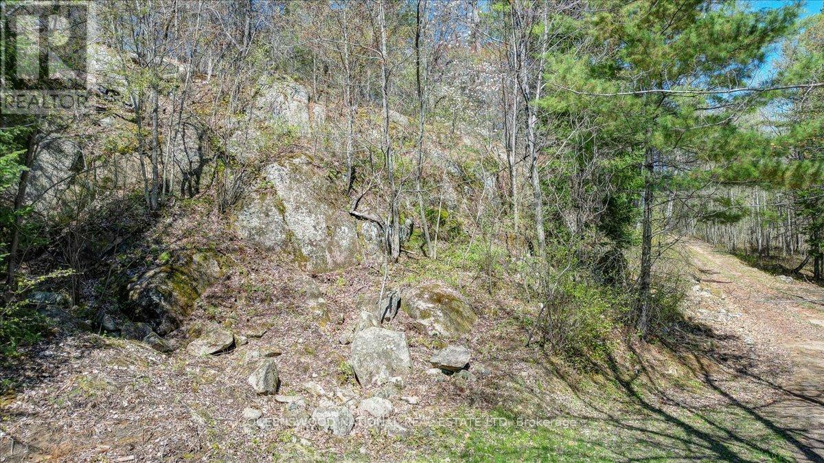 7c Boyle Lane, Killaloe, Ontario  K0J 2A0 - Photo 35 - X13076564