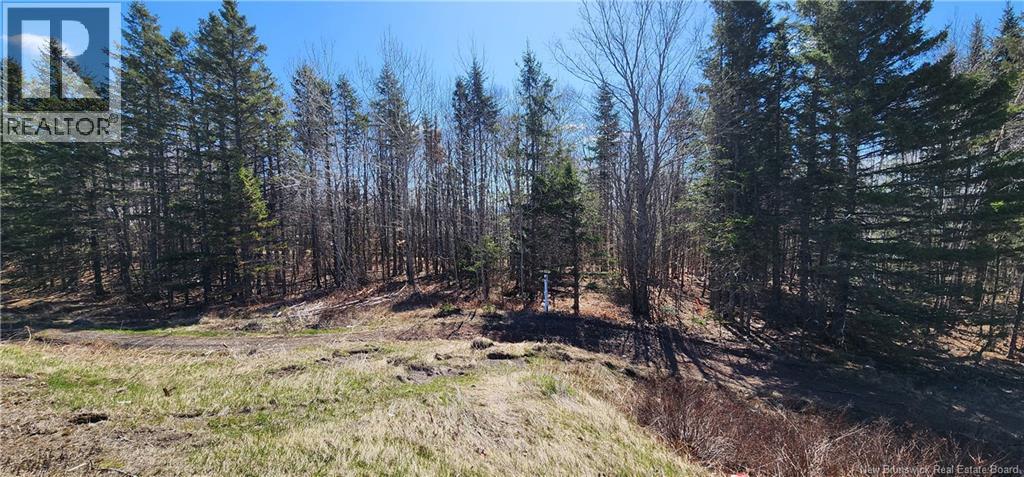 47950 Chemin Homestead Road, moncton, New Brunswick