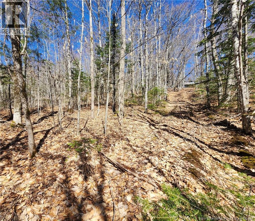 47950 Chemin Homestead Road, Moncton, New Brunswick  E1G 2P7 - Photo 5 - NB138455
