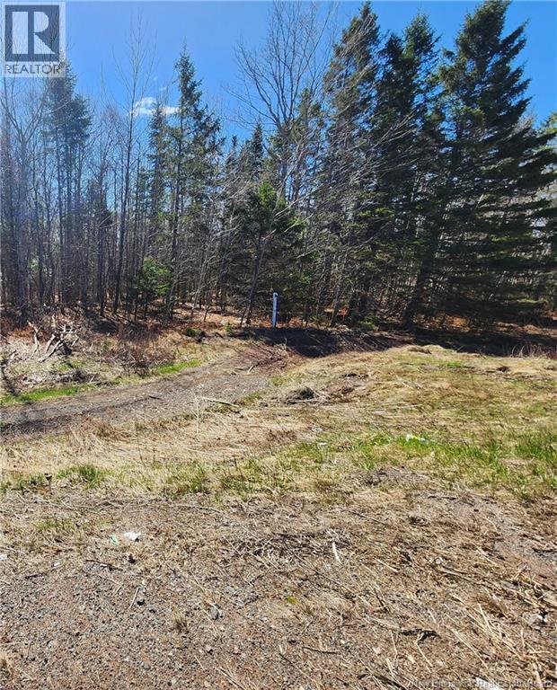 47950 Chemin Homestead Road, Moncton, New Brunswick  E1G 2P7 - Photo 6 - NB138455