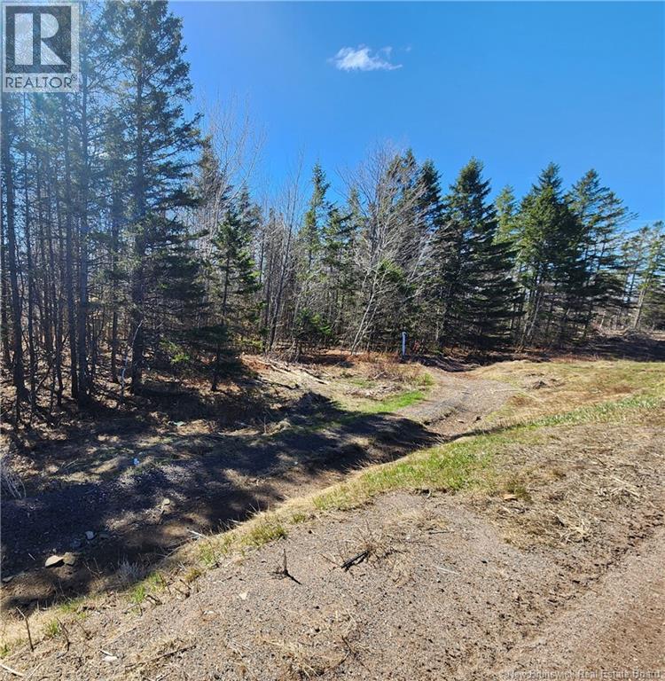 47950 Chemin Homestead Road, Moncton, New Brunswick  E1G 2P7 - Photo 7 - NB138455